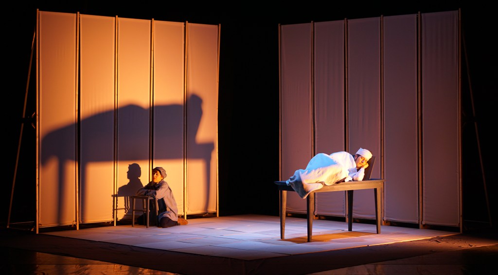 Os nenos da varíola